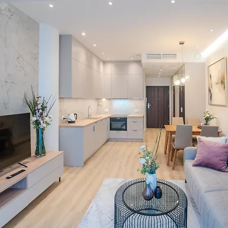 公寓 Hanza 什切青